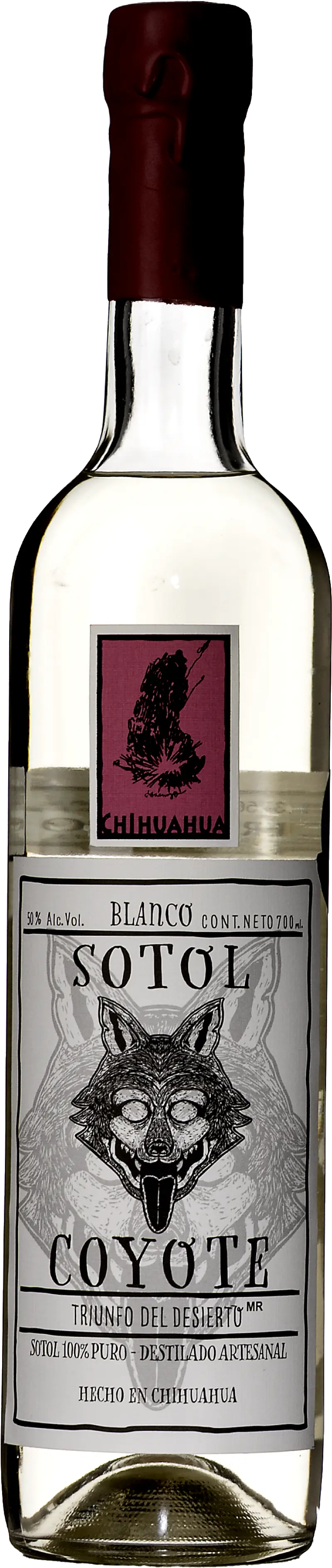 Sotol Coyote Triunfo Desierto Chihuahua